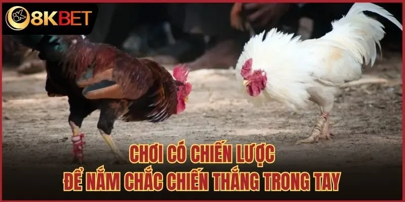 Chơi có chiến lược để nắm chắc chiến thắng trong tay